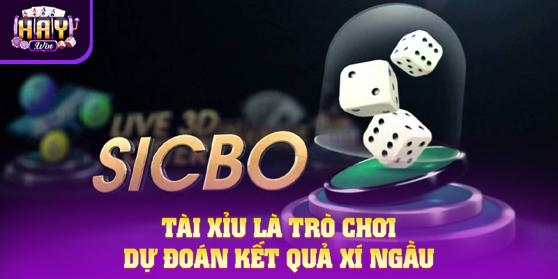 Tài Xỉu là gì được xem như trò chơi thú vị dự đoán kết quả xí ngầu